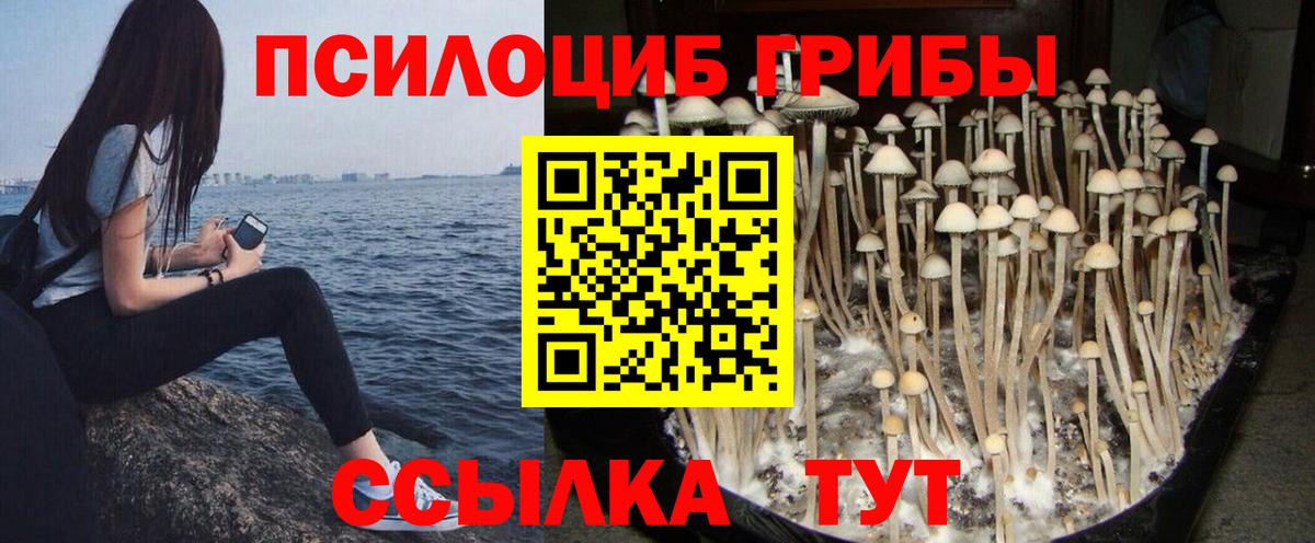 Псилоцибиновые грибы ЛСД Оренбург